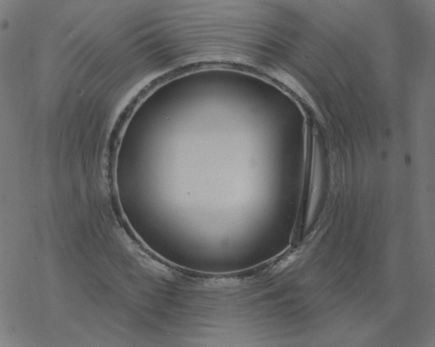 X0000077371068200611031905