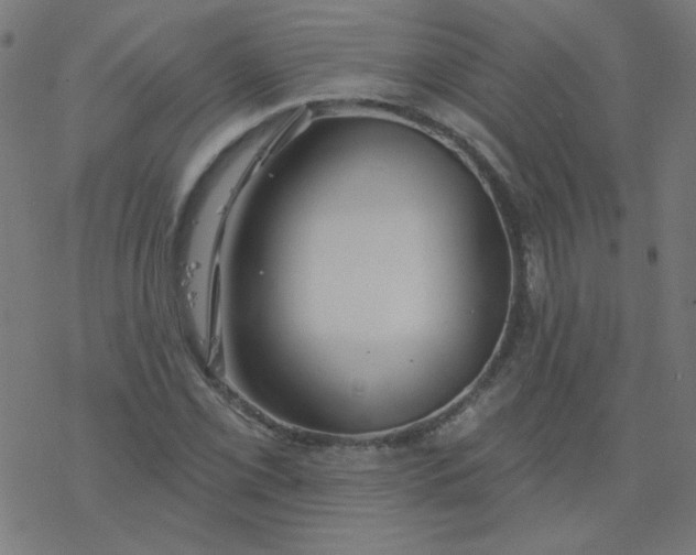 X0000077371069200611031905