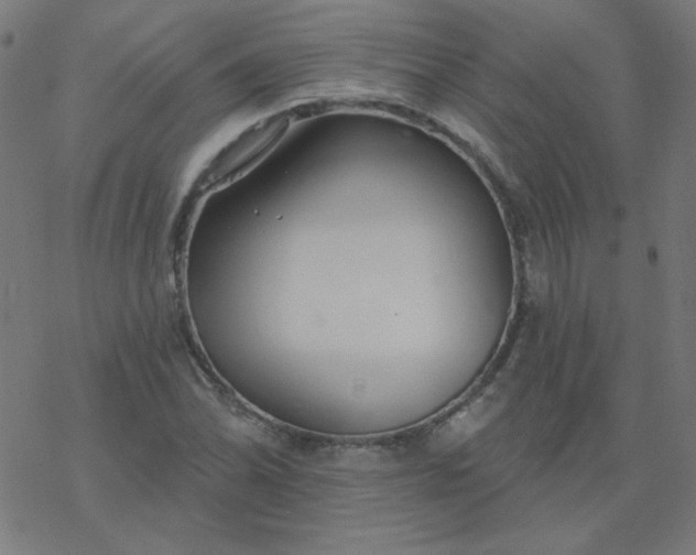 X0000077371070200611031905