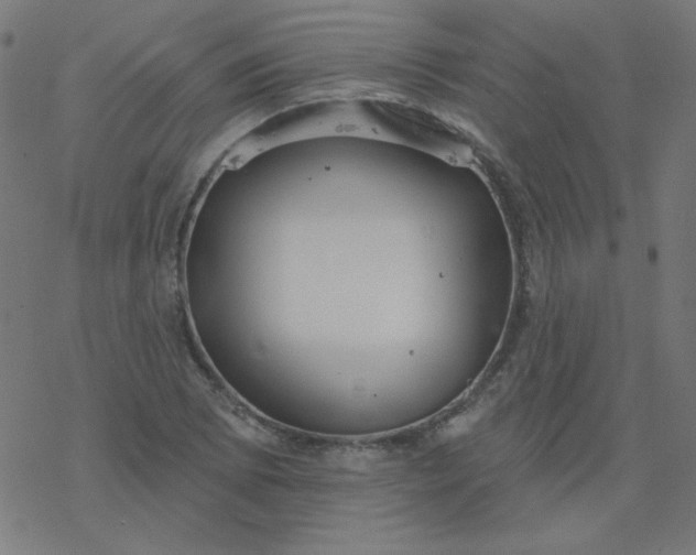 X0000077371073200611031905