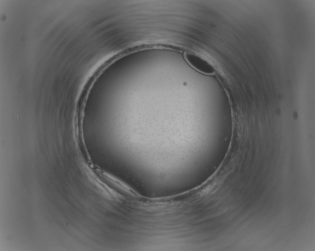 X0000077371076200611031905