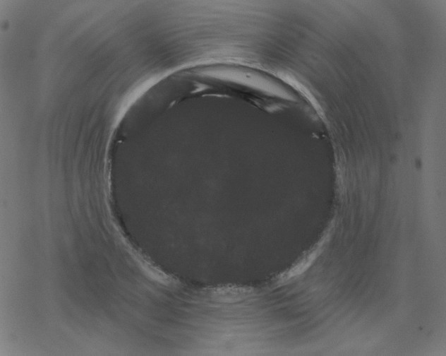 X0000077371077200611031905