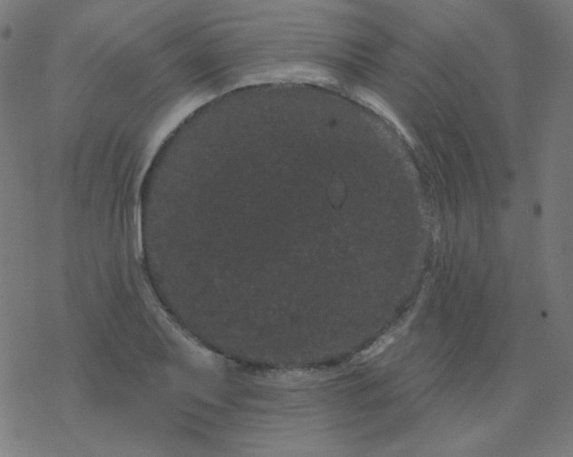 X0000077371079200611031905