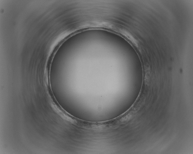 X0000077371080200611031905