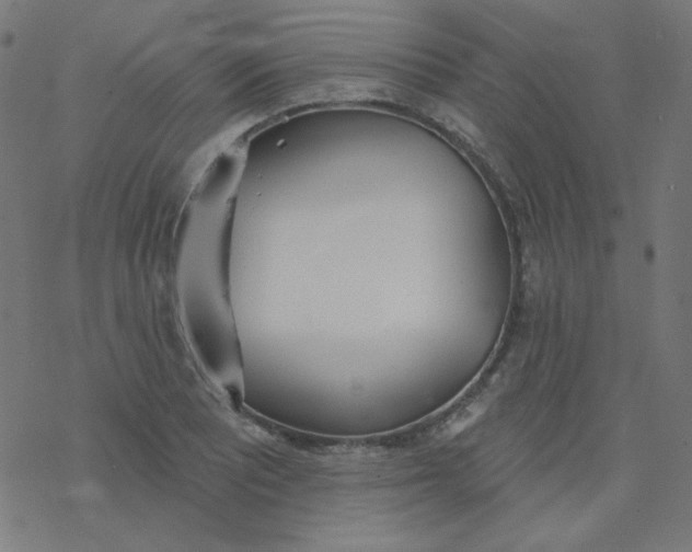 X0000077371081200611031905