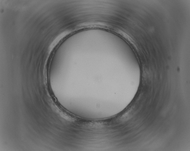 X0000077371082200611031905