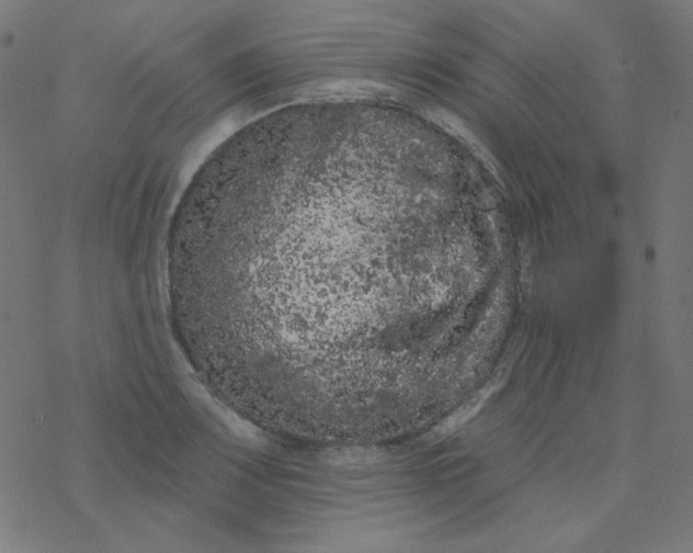 X0000077371083200611031905