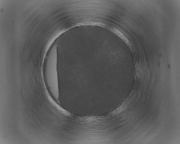 X0000077371084200611031905