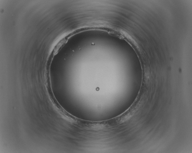 X0000077371085200611031905