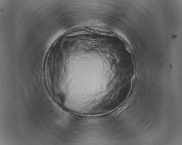 X0000077371087200611031905