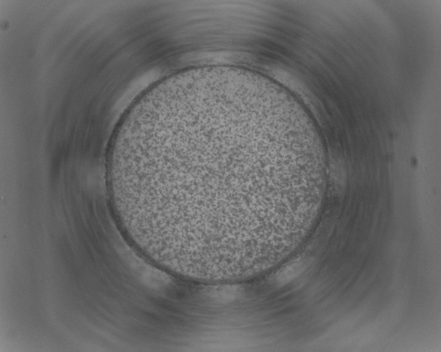 X0000077371090200611031905