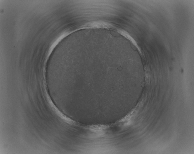 X0000077371091200611031905