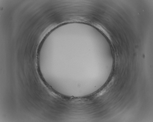 X0000077371093200611031905