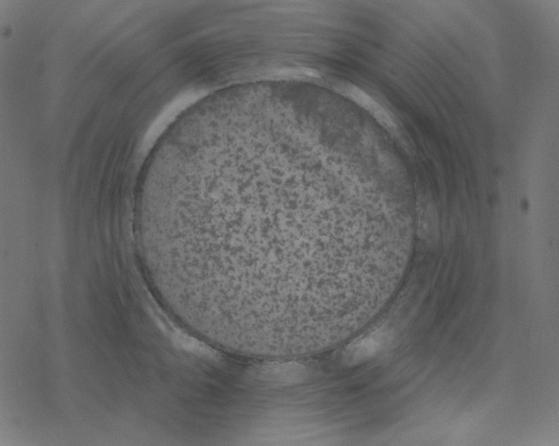 X0000077371094200611031905