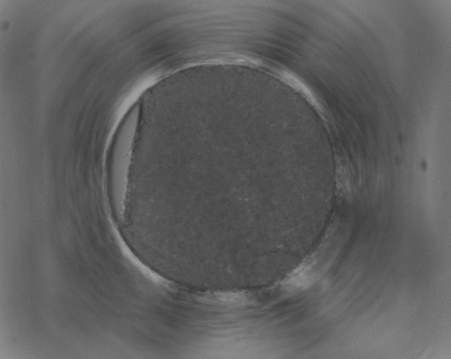 X0000077371095200611031905