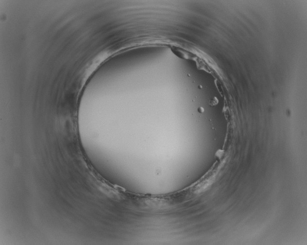 X0000077371097200611031905