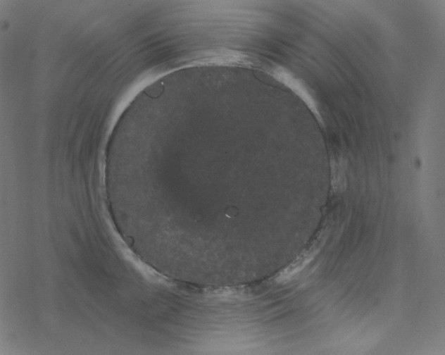 X0000077371099200611031905