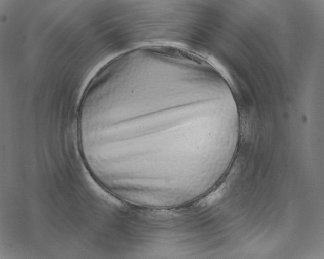 X0000077371100200611031905