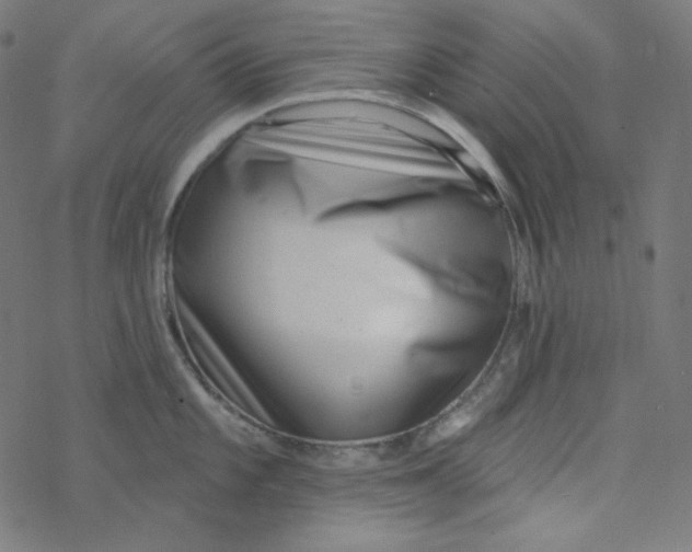 X0000077371101200611031905