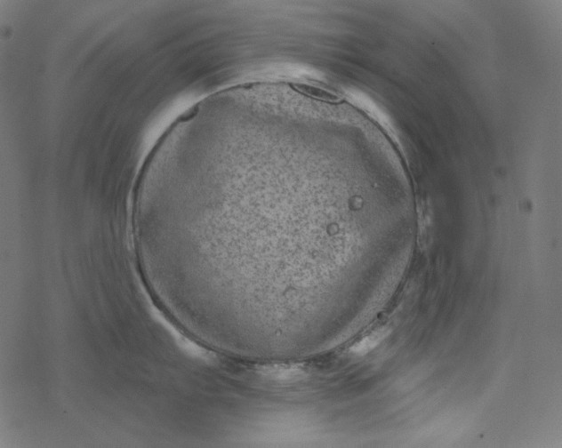 X0000077371103200611031905