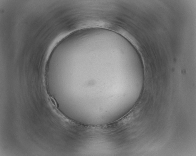 X0000077371104200611031905