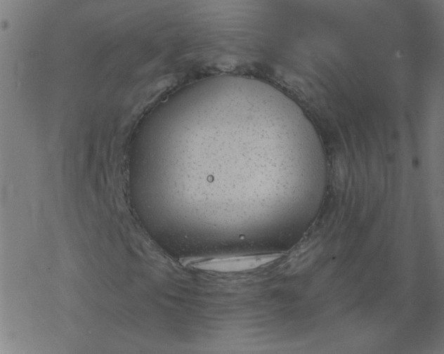 X0000077371105200611031904