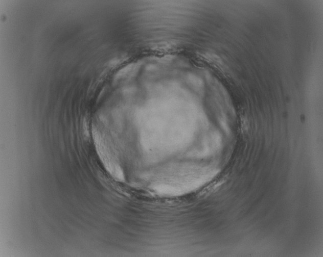 X0000077371106200611031904