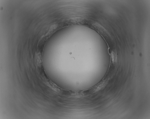 X0000077371107200611031904