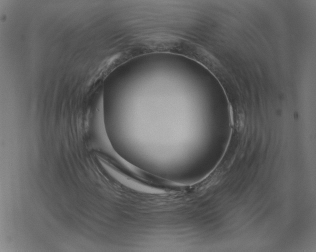 X0000077371108200611031904