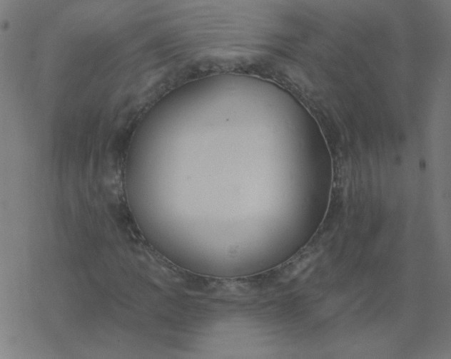 X0000077371109200611031904