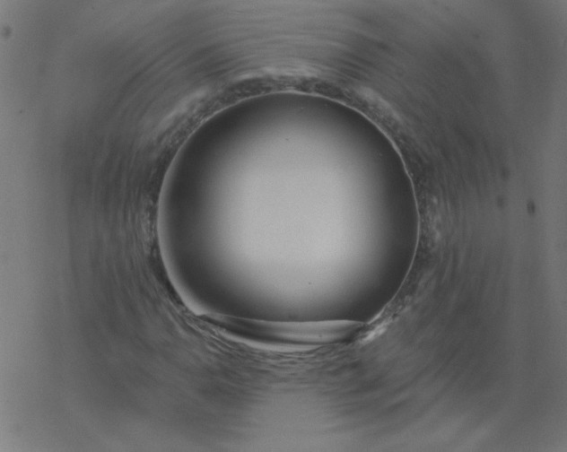 X0000077371110200611031904