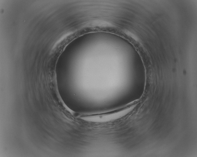 X0000077371112200611031904