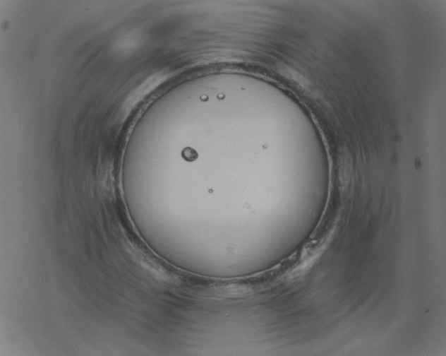 X0000077371113200611031904