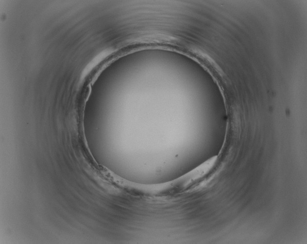 X0000077371114200611031904