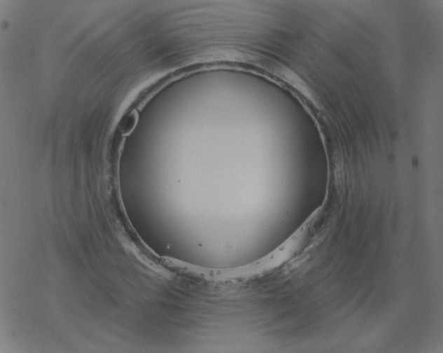 X0000077371116200611031904