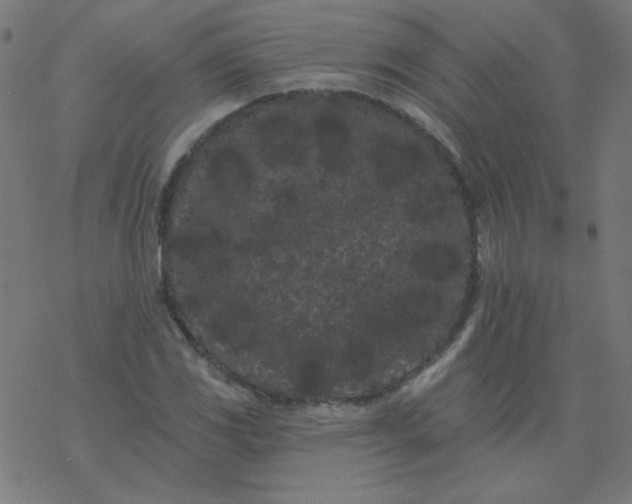 X0000077371117200611031904