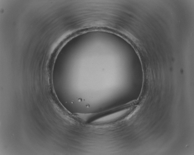 X0000077371118200611031904