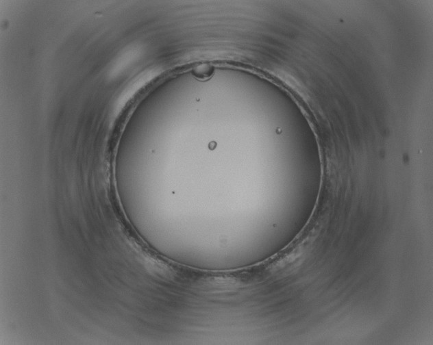 X0000077371119200611031904