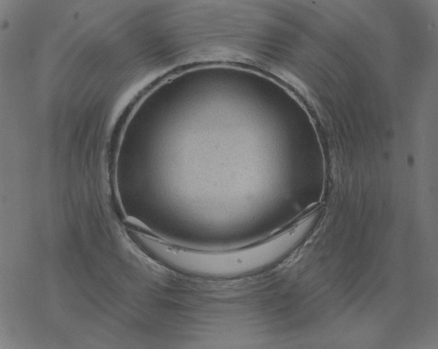 X0000077371120200611031904