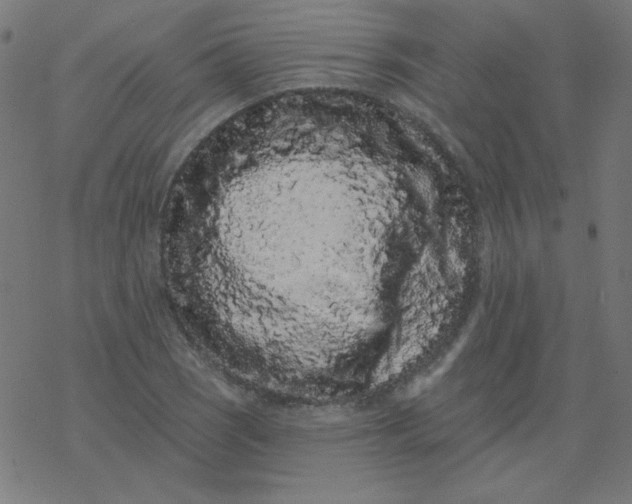 X0000077371121200611031904