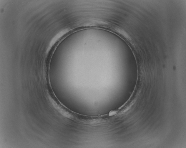 X0000077371122200611031904