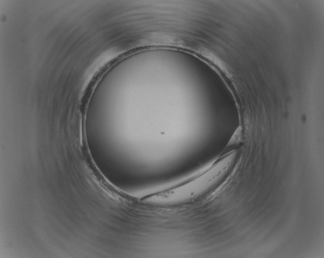 X0000077371123200611031904