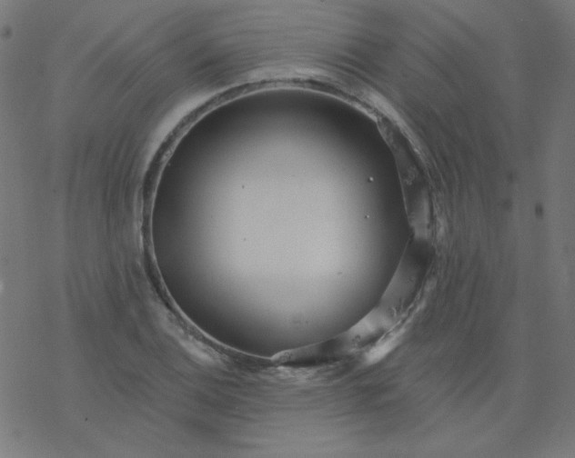 X0000077371124200611031904