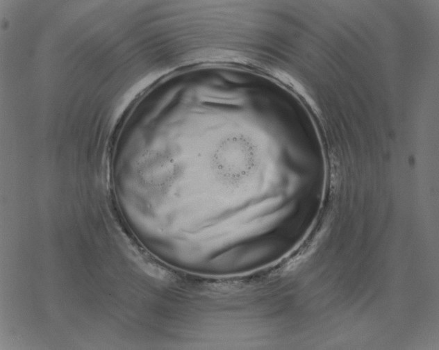 X0000077371125200611031904