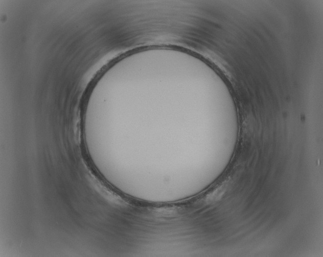 X0000077371126200611031904