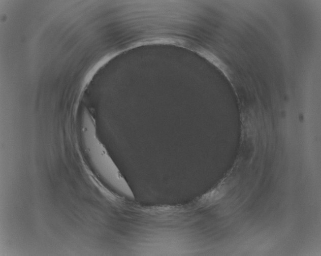 X0000077371127200611031904