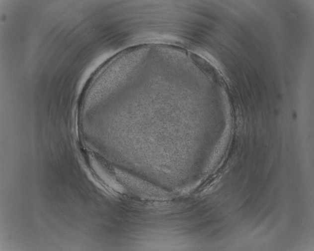 X0000077371128200611031904