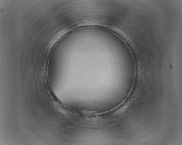 X0000077371129200611031904