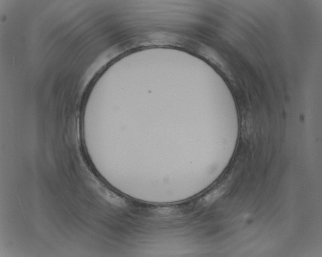 X0000077371130200611031904