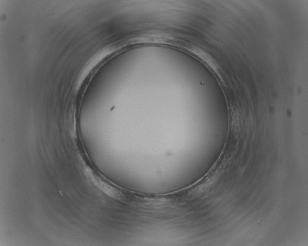 X0000077371131200611031904